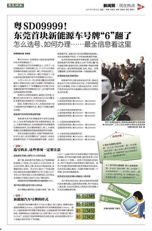 大爆料新闻标题是什么,震惊内幕，真相即将揭晓！  第2张
